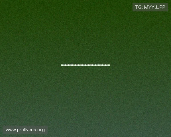 利用真人现金在线登录游戏参与世界杯竞猜，享受安全便捷的体育娱乐新体验